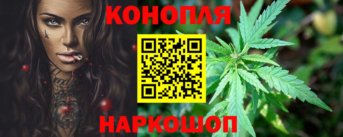 Бошки марихуана тримм  Вход с VPN  Истра  Шишки марихуана Ganja  Шишки марихуана планчик 